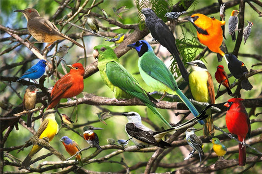 500 Pieces Landscape Jigsaw Puzzle – Challenging Game for Adults 3647 - The Puzzle Mind