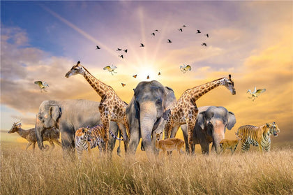 500 Pieces Landscape Jigsaw Puzzle – Challenging Game for Adults 599 - The Puzzle Mind